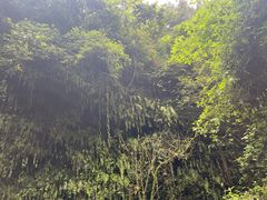 -海口火山口国家地质公园