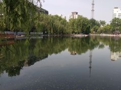 -莲湖公园