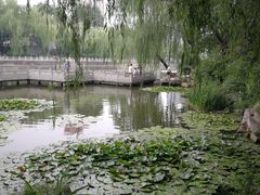 -文瀛公园