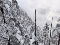 -瓦屋山景区