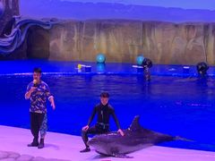 -华夏文旅海洋公园