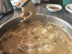 -鸽鸟轩(石岐店)