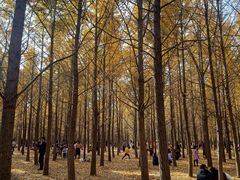 -汉景帝阳陵博物院