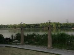 -昆山城市生态森林公园