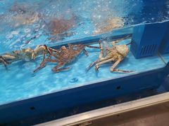-麦德龙(闵行店)