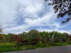 -大兴滨河森林公园