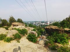 -白水寺森林公园