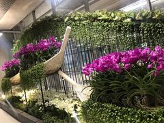 -曼谷素万那普国际机场