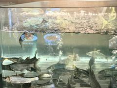 -湘知湘味(岳麓山店)