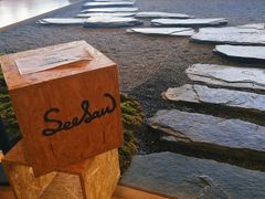 -Seesaw Coffee(朝阳大悦城店)