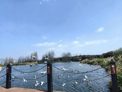 -海埂大坝