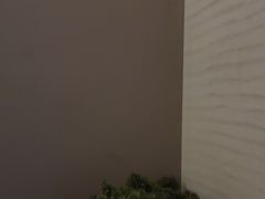 -上足·影院足道·SPA(红岭店)