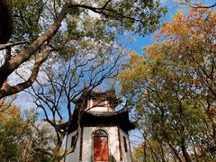 -上海佘山国家森林公园天马山园