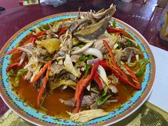 -马白开来特色羊排揪片子  (总店)