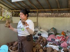 -大象粑粑造纸公园