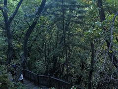 -帽儿山国家森林公园