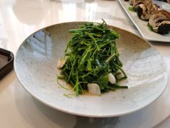 九年百合辣木苗-海味观(老西门店)