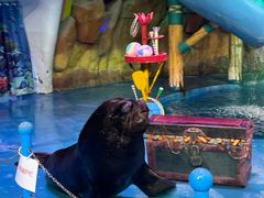 -烟台海昌鲸鲨海洋公园