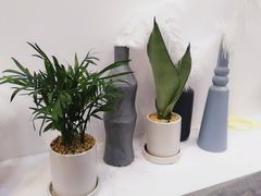 -风甜日暖·星座主题甜点(东二环泰禾店)