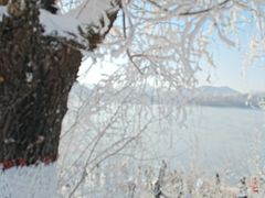 -雾凇岛