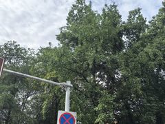 -成都市文殊院