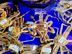 -蟹道乐(道顿堀本店)