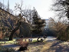 -卢森堡圣母教堂