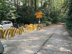 -火炉山森林公园