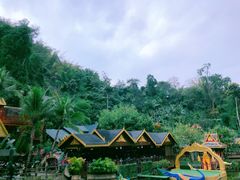 -西双版纳原始森林公园