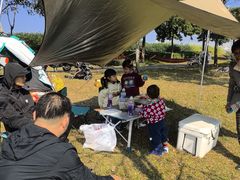 -王借岗森林公园