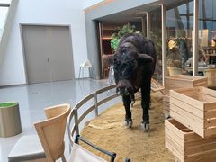 -左庭右院鲜牛肉火锅(京西大悦城店)