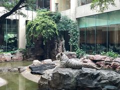 -白虎自助餐厅·真老虎·景观自助餐厅(广州长隆酒店)