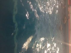 四季恒温游泳馆铁通店-西安山永游泳俱乐部（铁通）四季恒温游泳馆