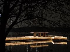 -月湖风景区