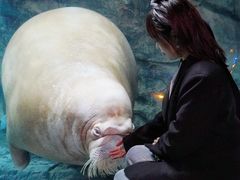-哈尔滨波塞冬海底世界