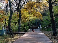 -大青沟风景区