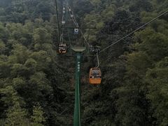 -缙云山景区
