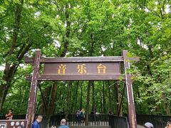 -音乐台