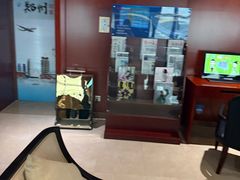 -郑州新郑国际机场-T2航站楼