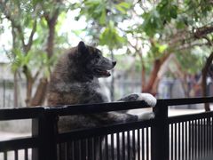 -TrueLove @ Neverland (Husky Cafe)