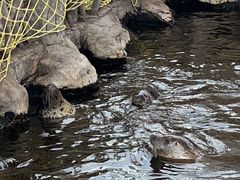 -华夏文旅西安度假区