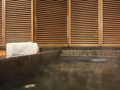 -春晖园度假酒店温泉