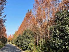 -上海山野camping·户外天幕烧烤·团建拓展营地