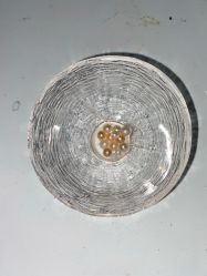 -邵老师打金·黄金加工(大望路总店)