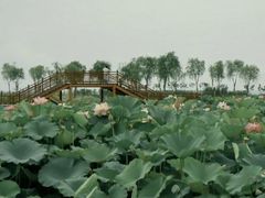 -漳泽水库水上公园