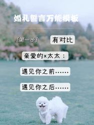 点击看大图 -浙江1+1主持人工作室