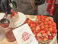 -O'eat Blossom&Pelican(深圳首店)