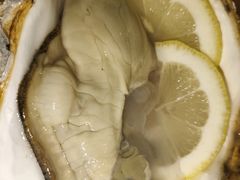 -万宝海鲜舫(劳动公园店)