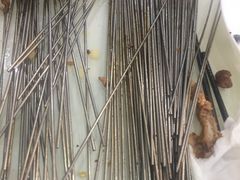 -清真磊磊烧烤老店(饮虎池街34号店)