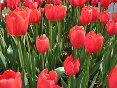 -南山植物园